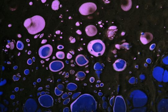 Human Brain Cells vs. Technology Chips